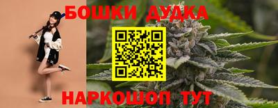 МДПВ Пушкино