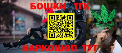 МДПВ Пушкино